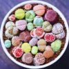 30 Mix Succulent Lithop Living Stone Plants