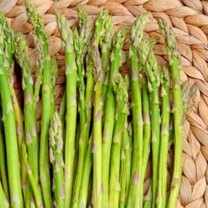 Alternative view of 6 Green Asparagus Plants - Hardy Vegetable Plants - Zone 3 To 9