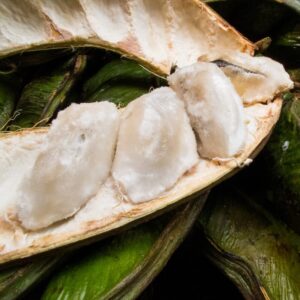 Ice Cream Bean Fruit Tree