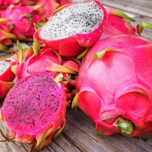 Dragon Fruit Plant - 2 to 3 Feet Tall, 3 Gallon