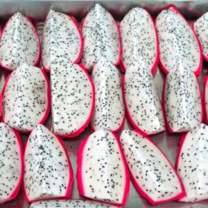 Alternative view of White Dragon Fruit Plant for Sale - 2 to 3 Feet Tall, 3 Gallon