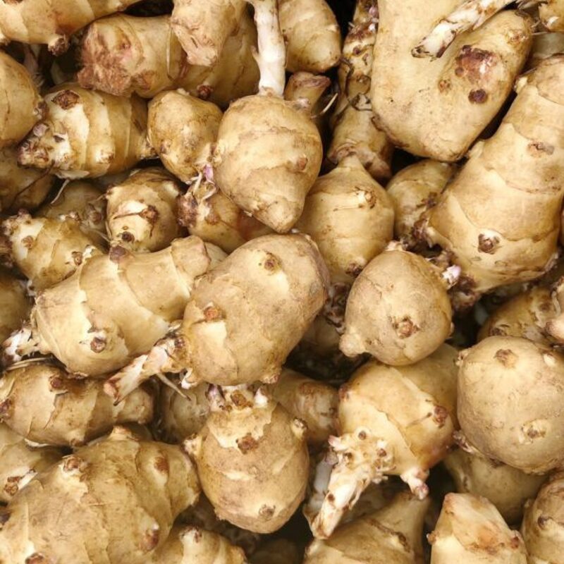 10 Fresh Jerusalem Artichoke Tubers For Planting - Organic Sunchoke, Sunroot Tubers - Freshly Dug - Outdoors - Zone: 3 to 9 - Spring, Fall Planting - Image 5