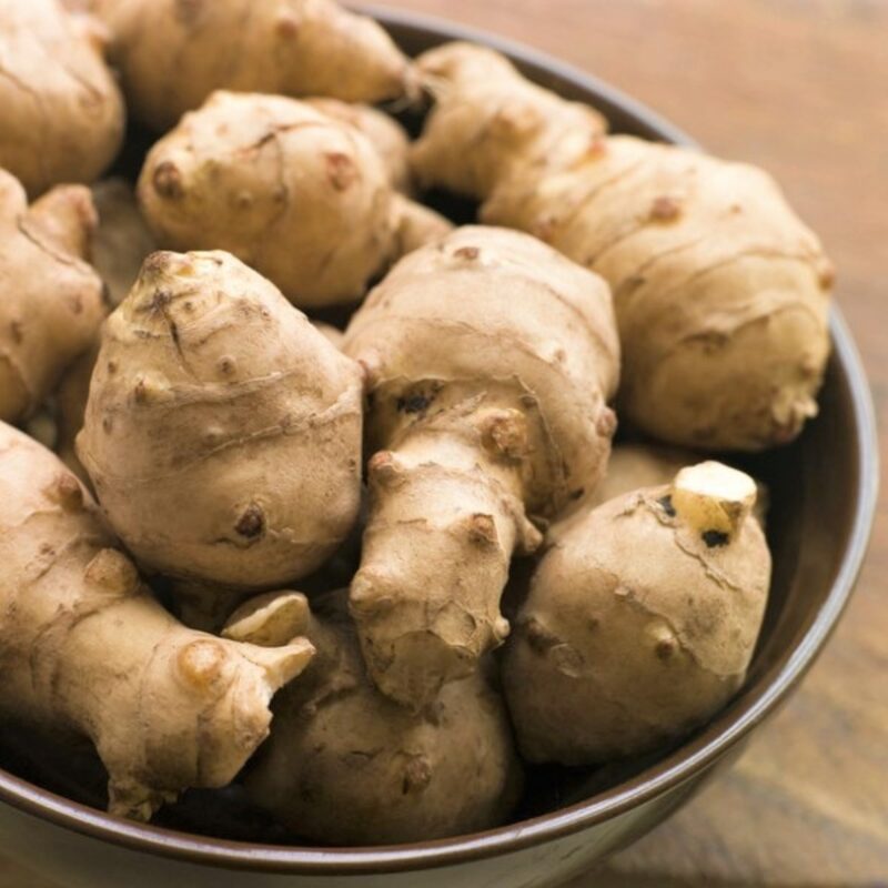 10 Fresh Jerusalem Artichoke Tubers For Planting - Organic Sunchoke, Sunroot Tubers - Freshly Dug - Outdoors - Zone: 3 to 9 - Spring, Fall Planting