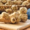5 Jerusalem Artichoke Tubers For Planting - Organic Sunchoke, Sunroot Tubers - Freshly Dug - Outdoors - Zone: 3 to 9 - Spring, Fall Planting