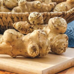 5 Jerusalem Artichoke Tubers For Planting - Organic Sunchoke, Sunroot Tubers - Freshly Dug - Outdoors - Zone: 3 to 9 - Spring, Fall Planting