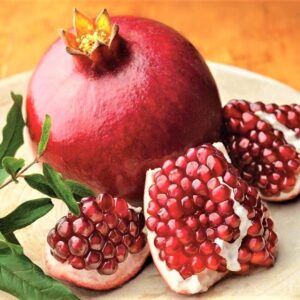 Pack 2 Pomegranate Trees Live Plant  - Wonderful Pomegranate - 2 Year Old - Potted Plant