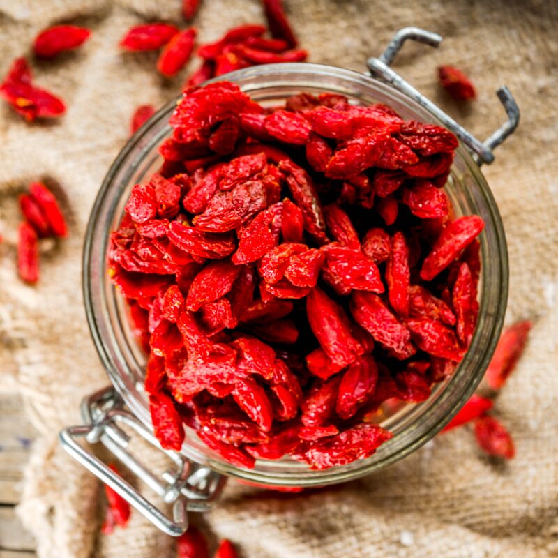 4 Goji Berry Plants - Fruit Shrubs - Red - Hardy - 6-12" Height - Image 2