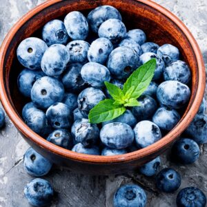 Alternative view of O'neil Blueberry Plant