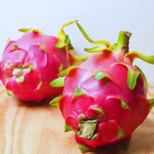 Alternative view of White Dragon Fruit Live Plant