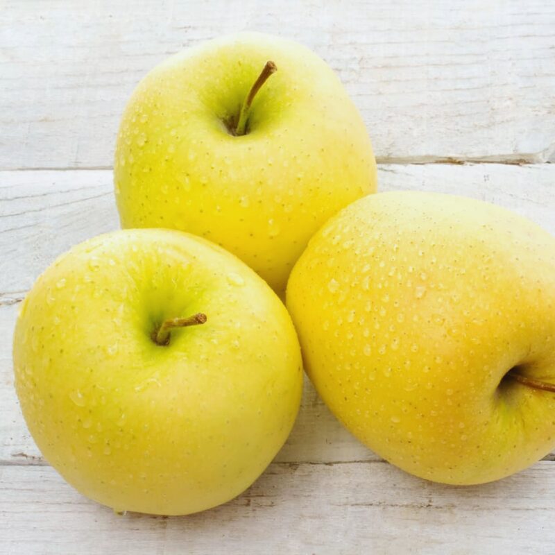 Dorsett Golden Apple Tree