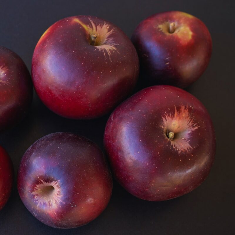 Arkansas Black Apple - Image 3