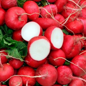 Cherry Belle Radish Seeds
