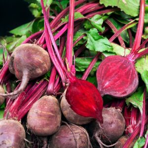 Alternative view of Detroit Dark Red Beet Seeds