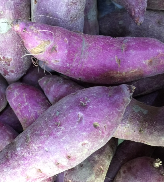 Purple Sweet Potato Slips, Sweet Potato Vine Live Plant - 3 Rooted Plants - Non-Gmo Organic - Well Rooted - Zone: 10-11- Outdoors - Full Sun