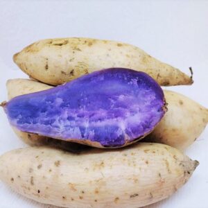 Alternative view of Okinawa Sweet Potato Slips, Sweet Potato Vine Live Plant - 15 Slips - Non-Gmo Organic - Well Rooted - Zone: 10-11- Outdoors - Full Sun