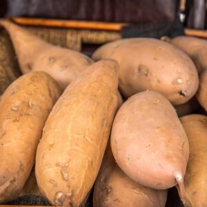White Sweet Potato Slips, Sweet Potato Vine Live Plant - 10 Slips - Non-Gmo Organic - Well Rooted - Zone: 10-11- Outdoors - Full Sun