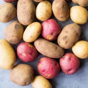 Alternative view of Mixed Seed Potatoes for Planting, Yukon Gold, Russet and Red Potato Fresh Heirloom and Non GMO Potato Seeds, Potato Tuber, 2 Pound