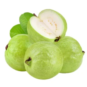 Thai Guava Tree 3Ft Air Layered