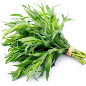 4 Packs Tarragon Live Plants - Texas Tarragon Herb for Indoor and Outdoor Garden - In 4 Inch Pot