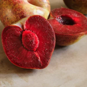 Flavor Plum Tree Live Plant, 4 Feet Tall in 3 Gallon Pot, Fruit-Rich Plum Variety for Outdoor Growing