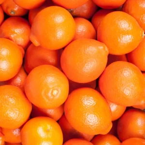 Orange Tree, Live Grafted Minneola Orange Tree - Live Orange Fruit Tree 3 Feet Tall In Gallon Pot