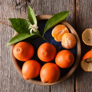 Orange Tree, Live Grafted Minneola Orange Tree - Live Orange Fruit Tree 3 Feet Tall In Gallon Pot