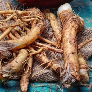 2Lbs Bareroot Horseradish Roots for Planting – Fresh Live Horseradish Crowns Sold by Weight