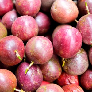 Passion Fruit Tree, 4 to 8 Inch Tall, Passion Fruit Tree Live Plant, Passionfruit Tree - Purple