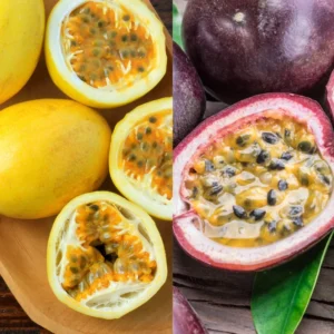 Passionfruit Plant Live, Passion Fruit Plant for Planting Outdoors, Passion Fruit Tree, Low Maintenance - Yellow