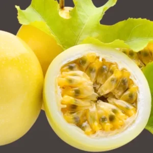 Passionfruit Plant Live, Passion Fruit Plant for Planting Outdoors, Passion Fruit Tree, Low Maintenance - Yellow