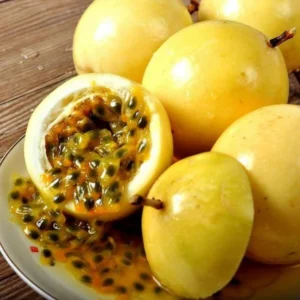 Passionfruit Plant Live, Passion Fruit Plant for Planting Outdoors, Passion Fruit Tree, Low Maintenance - Yellow