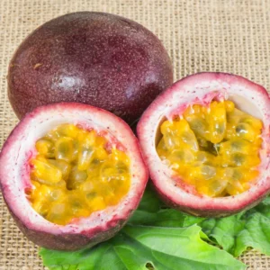 Passionfruit Plant Live, Passion Fruit Plant for Planting Outdoors, Passion Fruit Tree, Low Maintenance - Purple