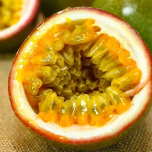 Passion Fruit Plant, 4 to 8 Inch Tall, Well Rooted, Passion Fruit Tree, Passion Fruit Tree Live Plant, Passionfruit Tree - Purple