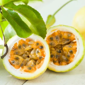 Passion Fruit Plant, 4 to 8 Inch Tall, Well Rooted, Passion Fruit Tree, Passion Fruit Tree Live Plant, Passionfruit Tree - Yellow