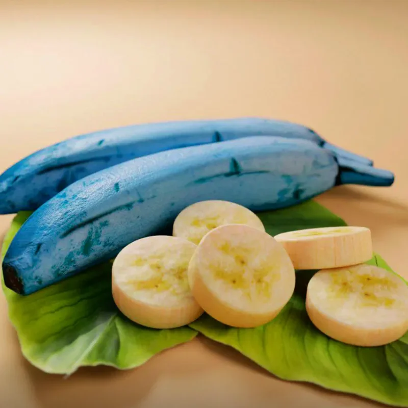 Banana Tree Starter, Live Banana Plant 5 Inches Height Bareroot, Fruit Tree Live Plant