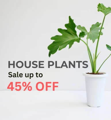 garden-tree-nursery-houseplant-banner