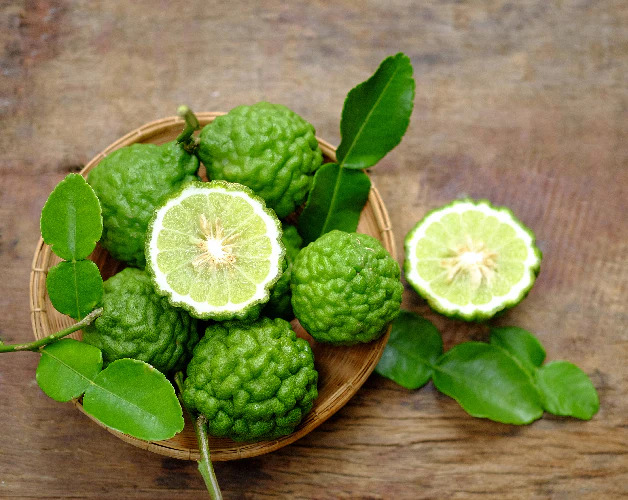 Kaffir Lime Plant, Kaffir Lime fruits 