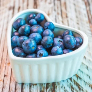 Blueberry Plants Live for Planting - Top Hat Blueberry Bushes 5-9 Inches