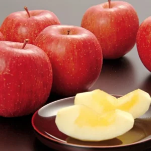 Honeycrisp Apple Tree Live Plant - 2 to 3 Feet - Red Apple Tree