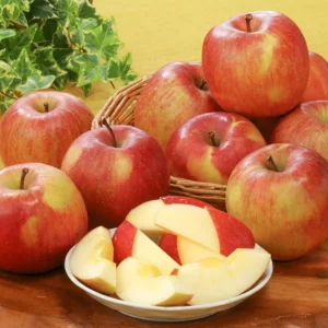 Honeycrisp Apple Tree Live Plant - 2 to 3 Feet - Red Apple Tree