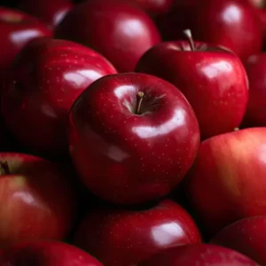 Apple Trees Live Plants - 2 to 3 Feet Tall - Ornamental Fruit Trees