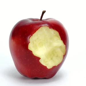 Apple Trees Live Plants - 2 to 3 Feet Tall - Ornamental Fruit Trees