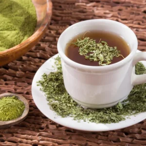 Moringa Oleifera Live Plants - 2 Pack Malunggay Drumstick Starter Plants