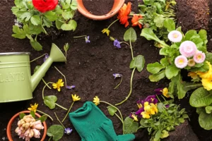 Creative and Eco-Friendly Gardening Hacks to Make Growing Plants Easier This Spring