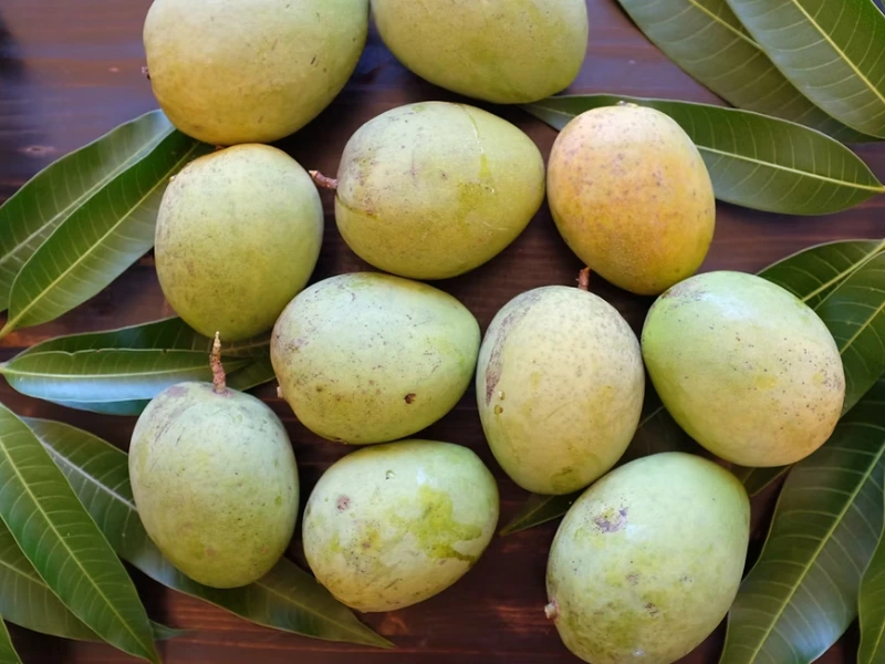 Cotton Candy Mangoes