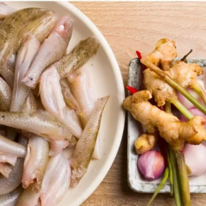 Galanga Thai Ginger Live Plants - 4 Starter Herb Plants - 5-6 Inch Tall