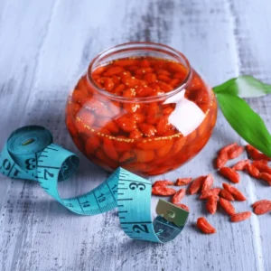 Goji Berry Trees Starter Plants - 6 to 10