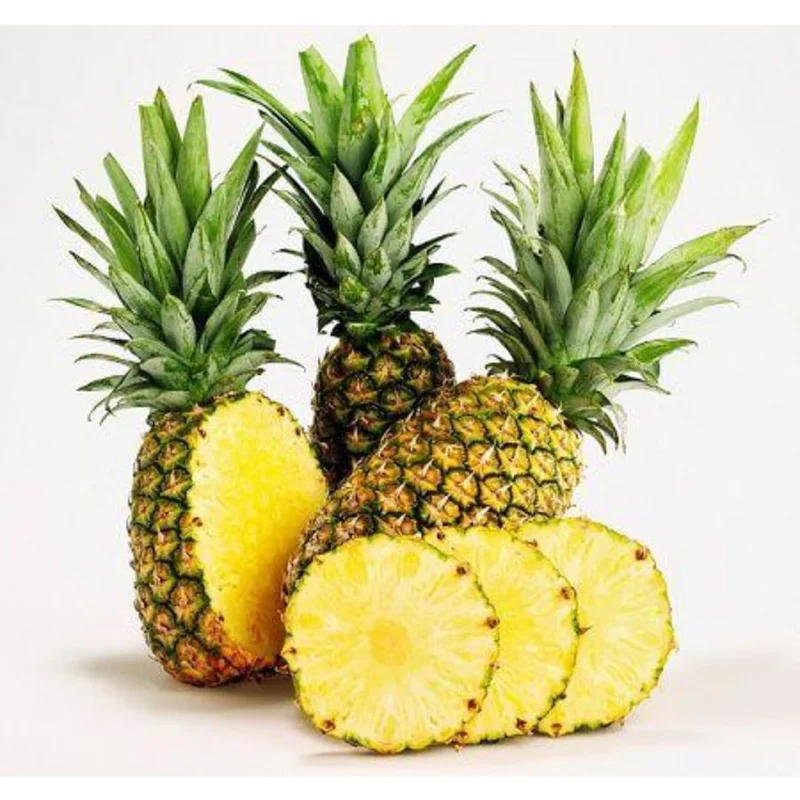 Live Pineapple Plant Starter - 4-7 Inches Tall - No Pot - Outdoor Growing