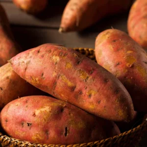 Beauregard Sweet Potato Plants - 5 Pack - 4-6 Inch Potted Vegetables