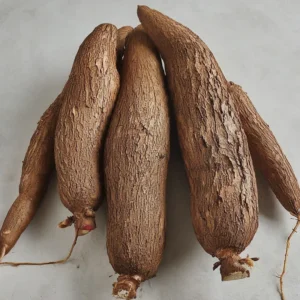 Sweet Cassava Cuttings Yuca Manihot Esculenta - 5 Fresh Stalks for Planting